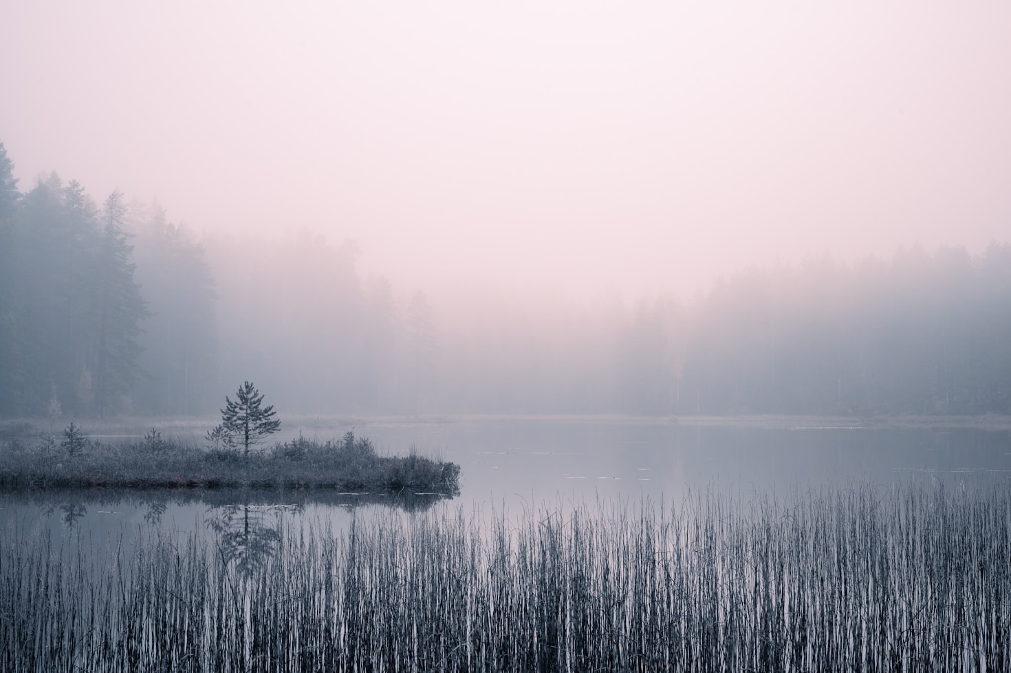 Top 5 Must-Visit Places in Vrailore
