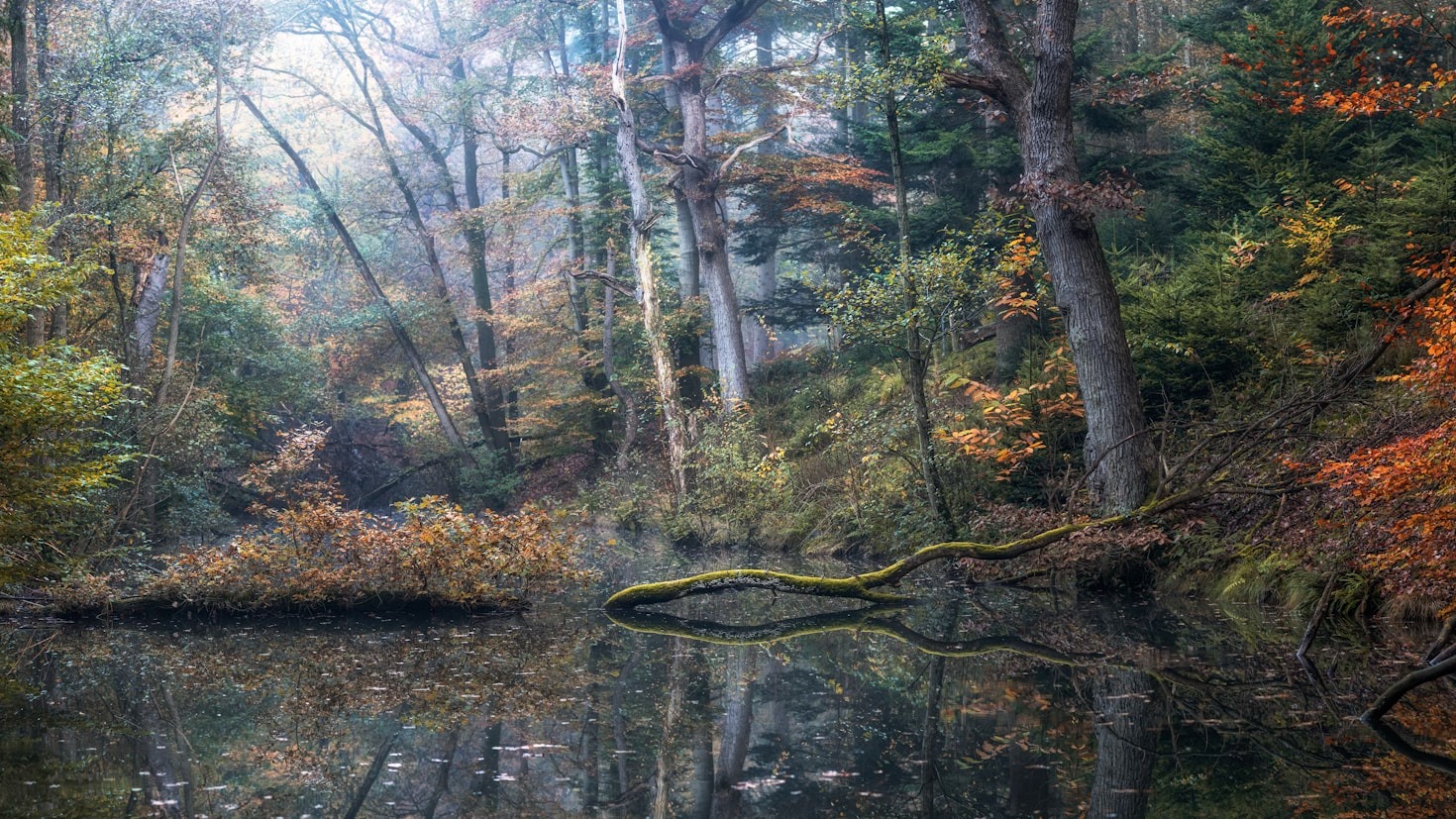Exploring the Enchanting Landscapes of Vrailore